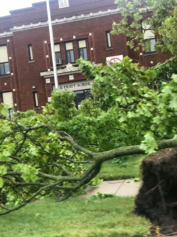 Tree down outside Fratt Elementary